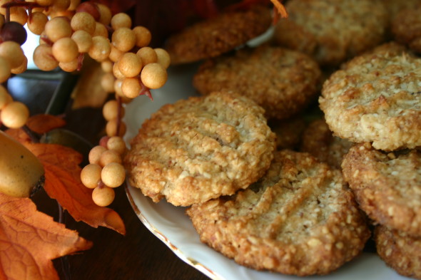 Low Carb Oatmeal Coconut Cookies 