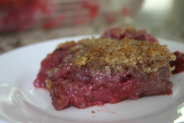 Low Carb Strawberry Rhubarb Crisp 015