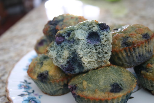 Blueberry Muffins