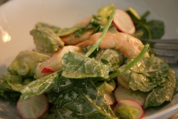 Shrimp, Avocado Salad